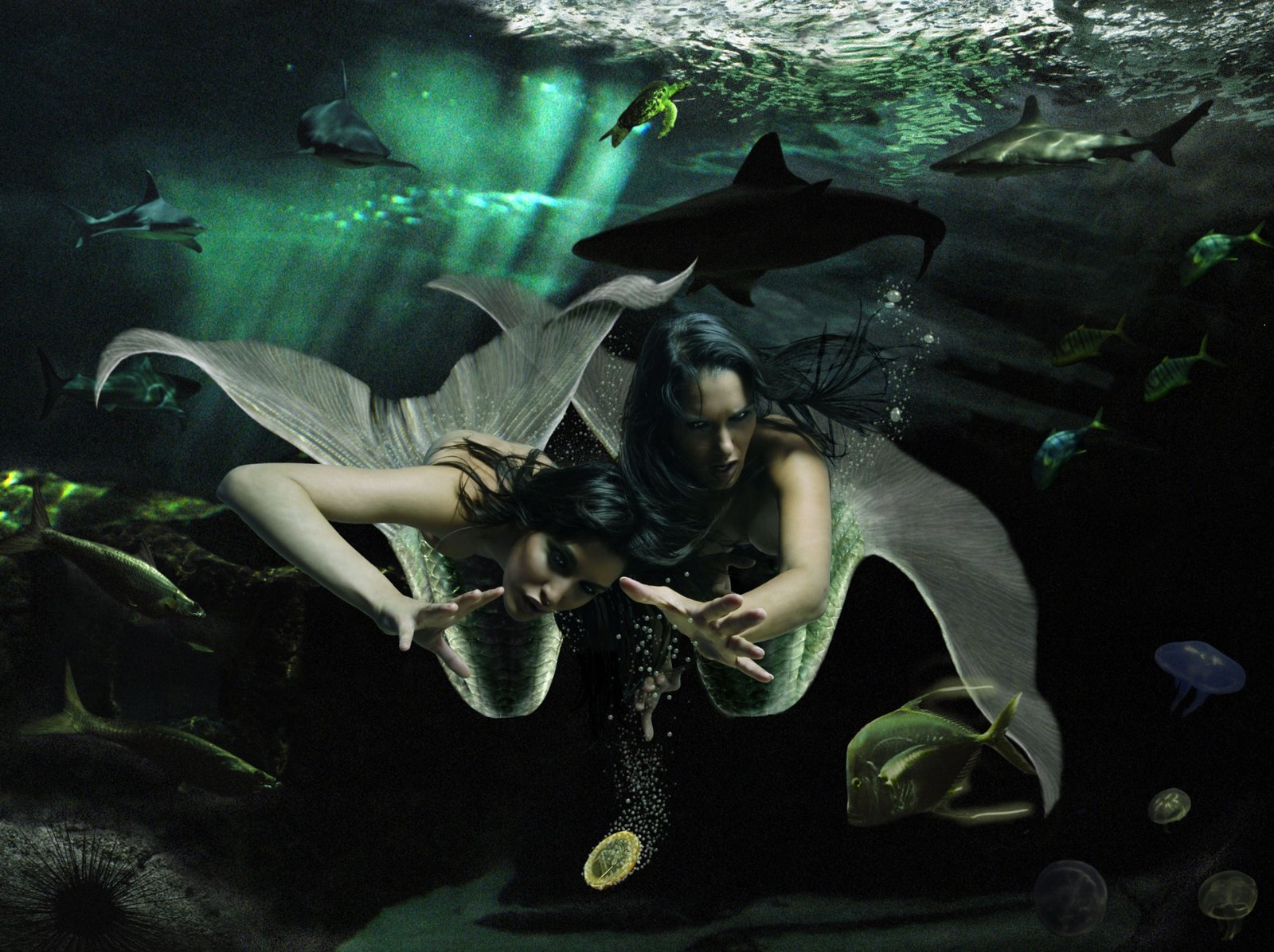 Dos figuras con colas de sirena bajo el agua, rodeadas de animales marinos